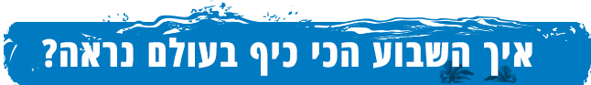 איך השבוע הכי כיף בעולם נראה?